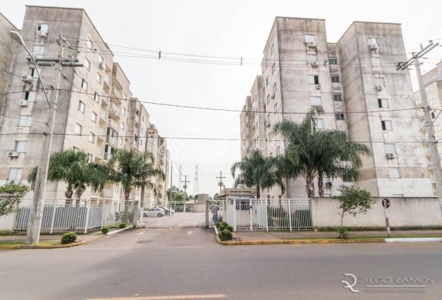 Apartamento para alugar com 2 dormitórios em Igara, Canoas cod:300630 - Foto 12
