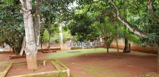 Chácara com 2 dormitórios à venda, 1666 m² por r$ 390.000,00 - chácaras de recreio samamba - Foto 5