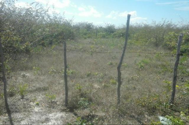 Terreno