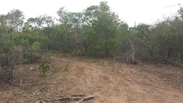 3 Lotes para Cácaras - Oportunidade - Foto 7