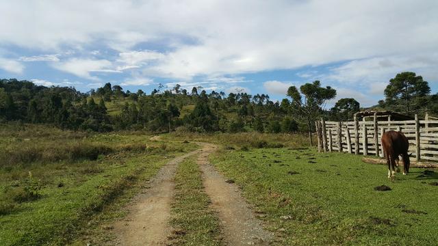 Terreno de 30.000m2 para chácara em Campo Alegre - Foto 15
