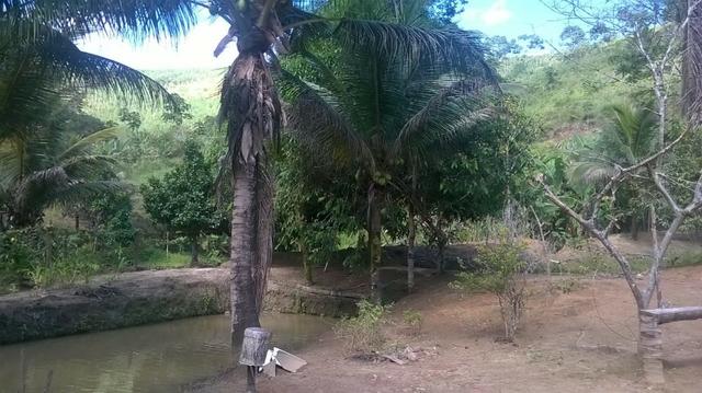 Sítio 11.000 m2 verdadeiro paraíso - Foto 20