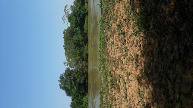 Terra no pantanal - Foto 8