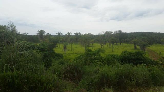 Vendo Fazenda de 1702 hectares no Leste do Maranhão - Foto 17