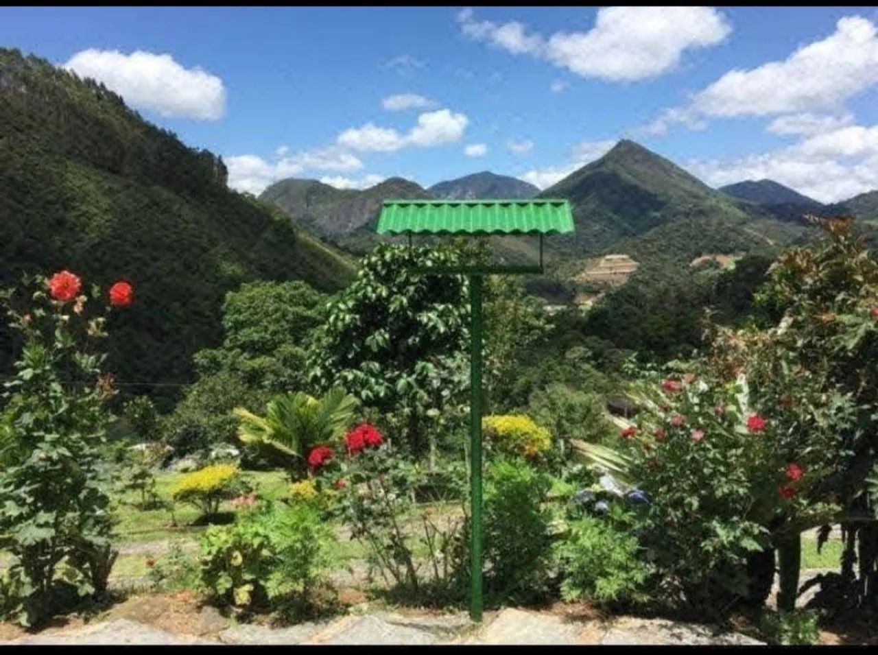 Comedouro de pássaros livres - Foto 3