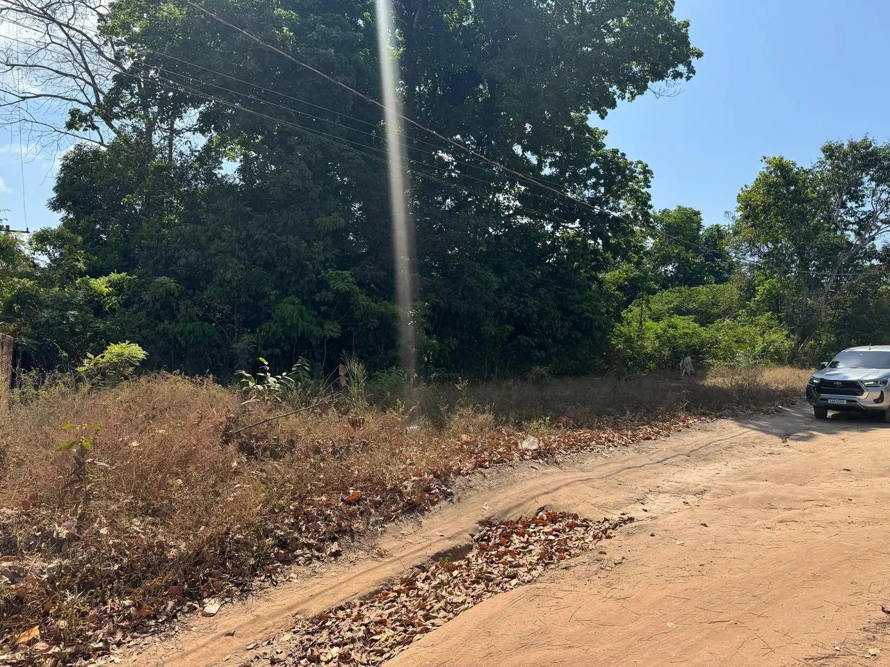 foto - Santarém - Caranazal