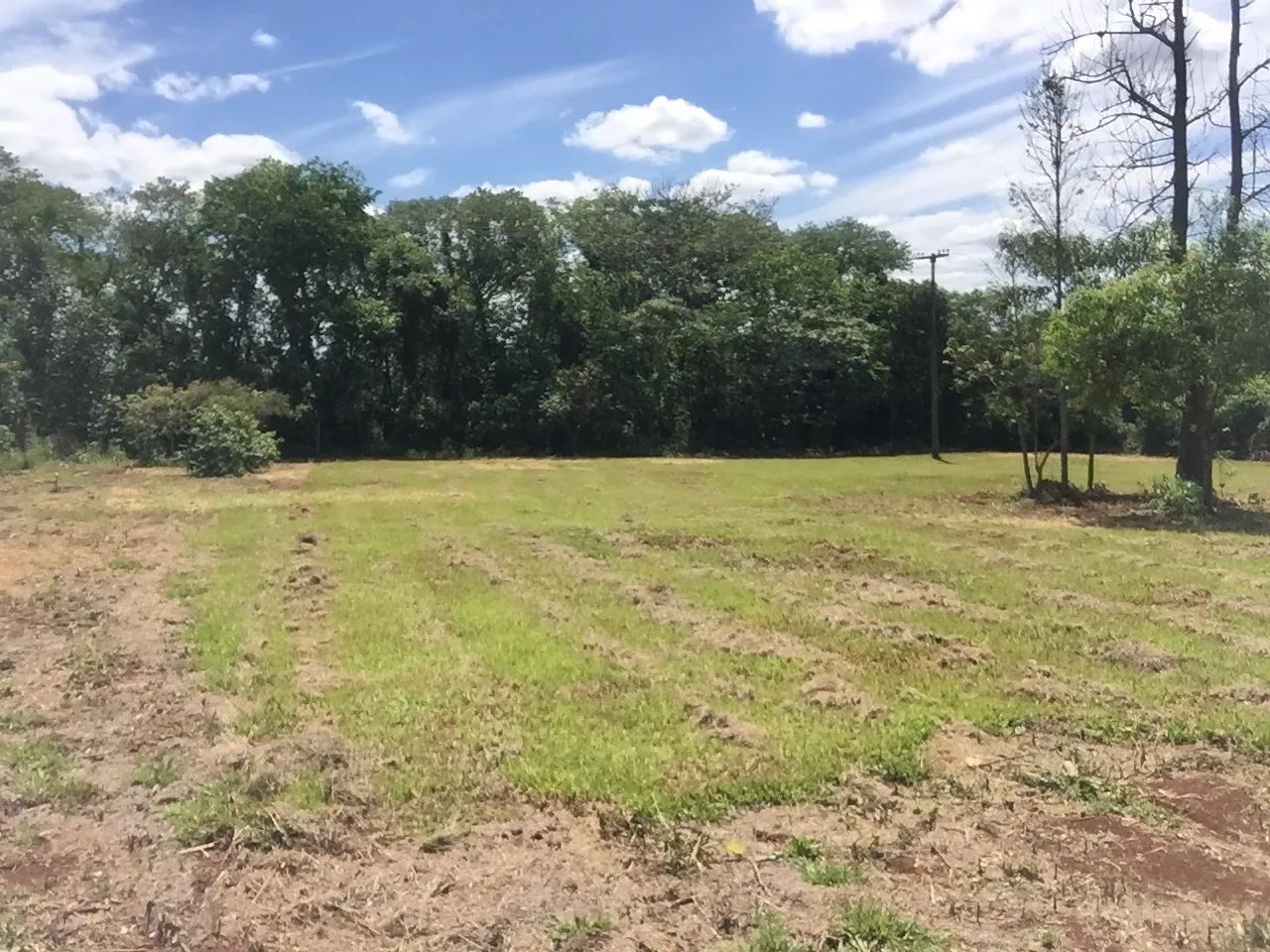 foto - Londrina - Centro