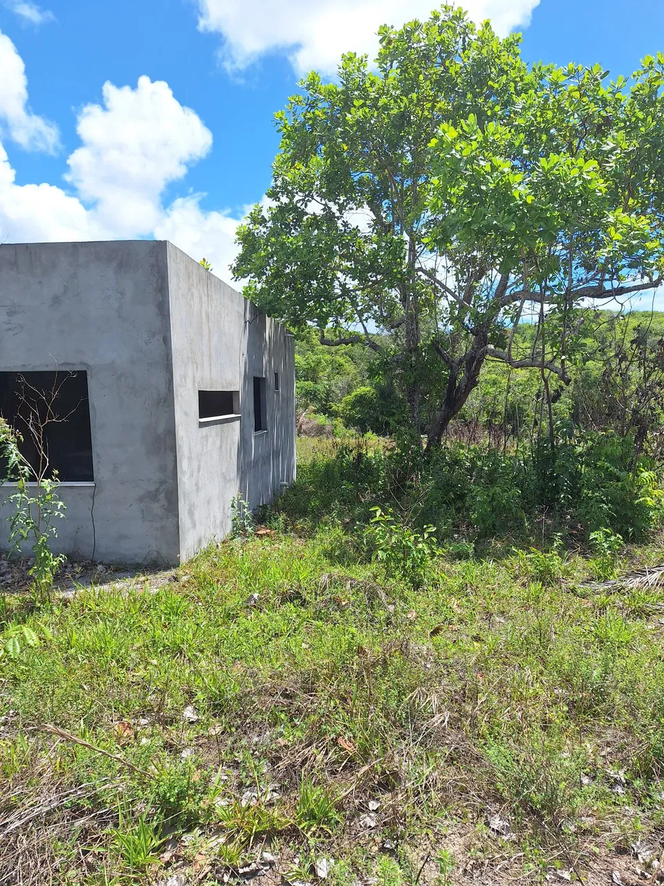 Lote com casa em construção 