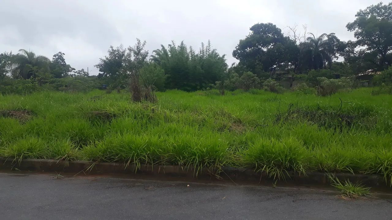 LOTES com 1000mts, topografia plana pronto para construir R$13.757,00 mais parcelas - Foto 4