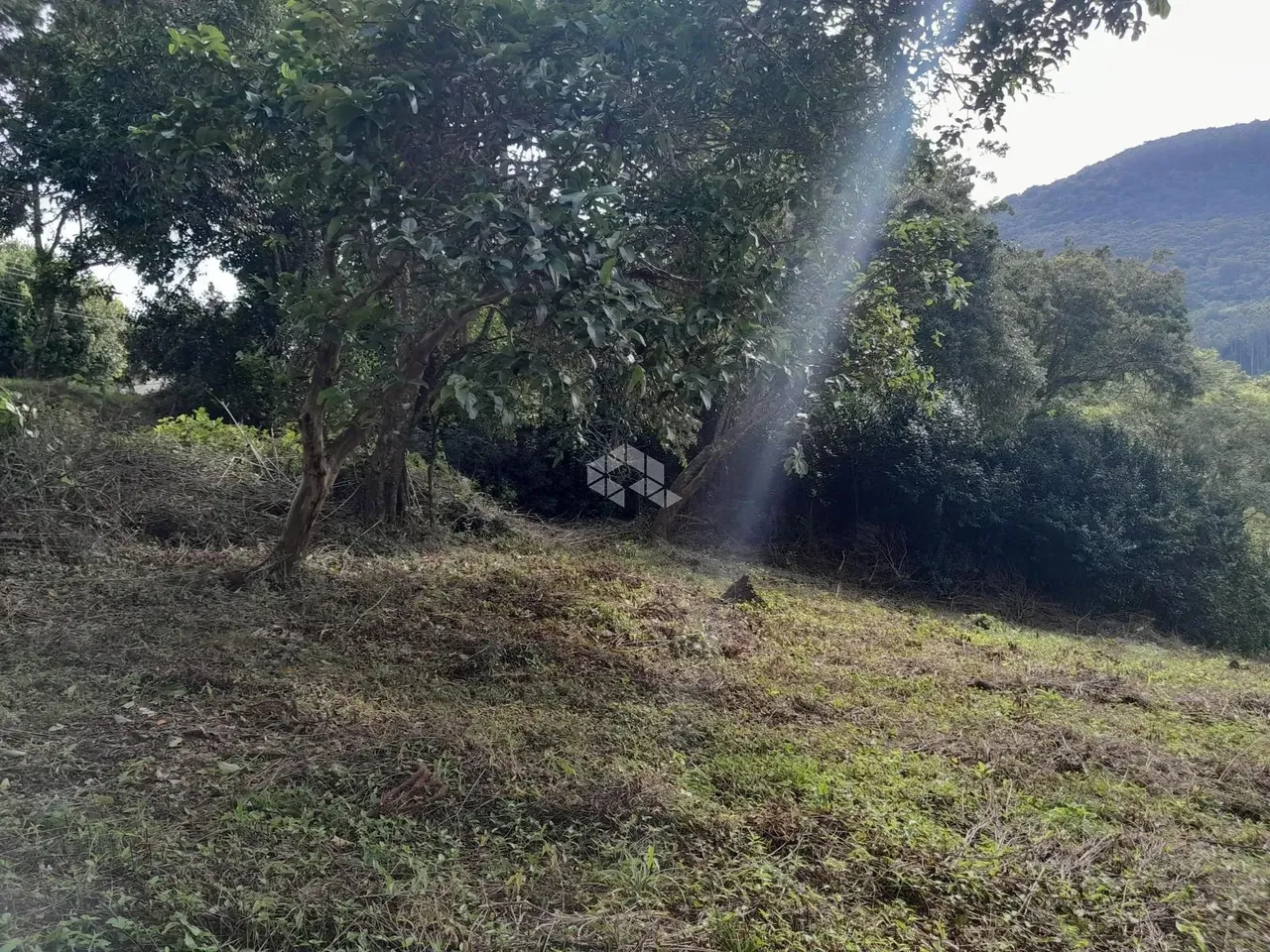 Terrenos com vista