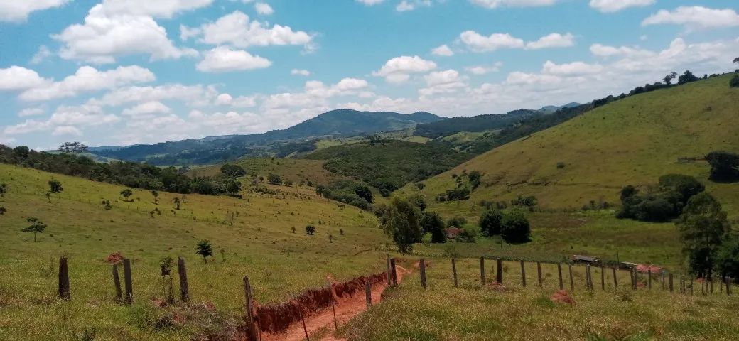 S201 - Sítio com 2,2 ha  - Foto 5