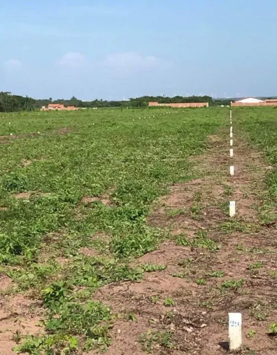 Lote Terreno no Loteamento Portal da Lagoinha Residence - Foto 2