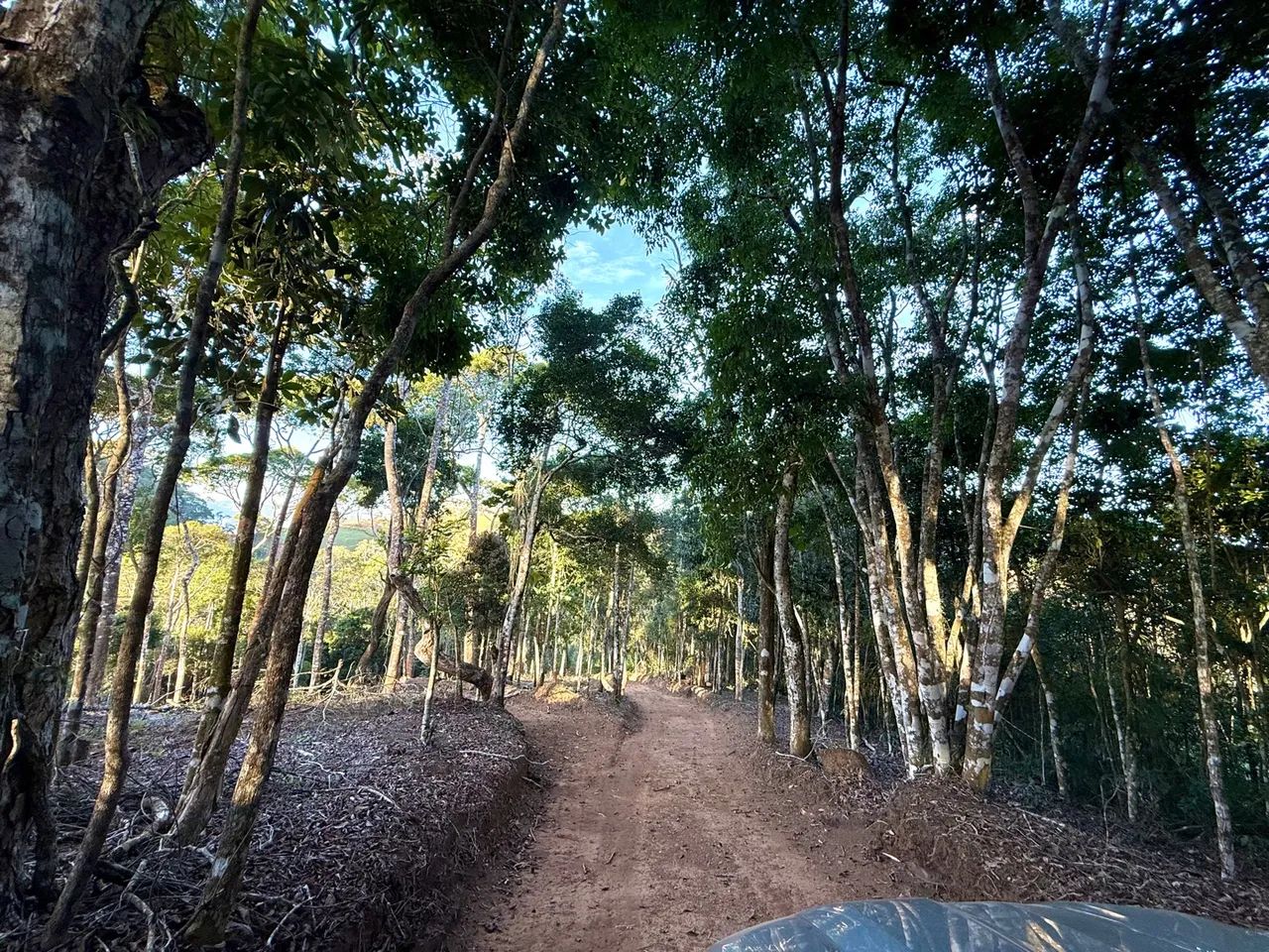 Sítio Exclusivo à venda no Circuito Caravággio - Santa Teresa  - Foto 4
