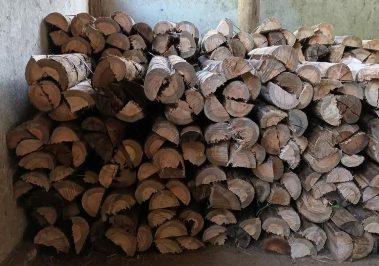 Lenhas ou Carvão Eucalipto  - Foto 3