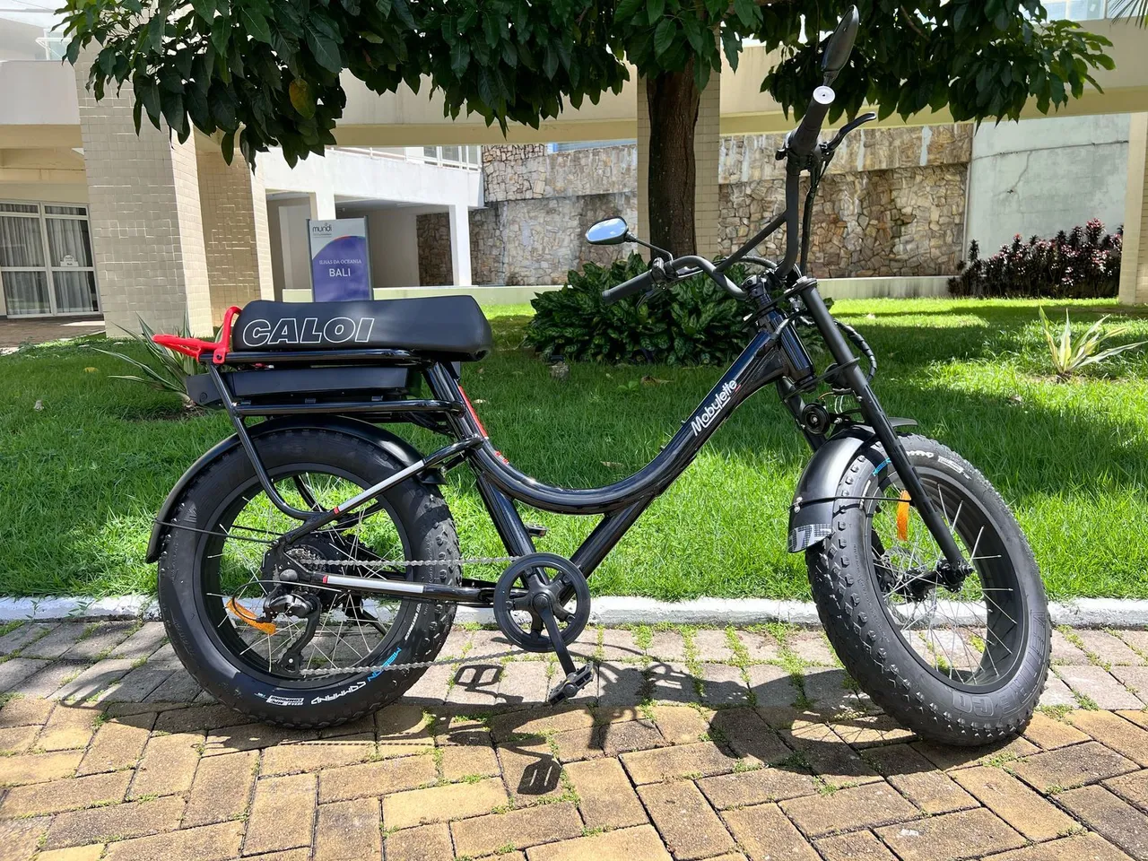 Mobilet elétrica CALOI