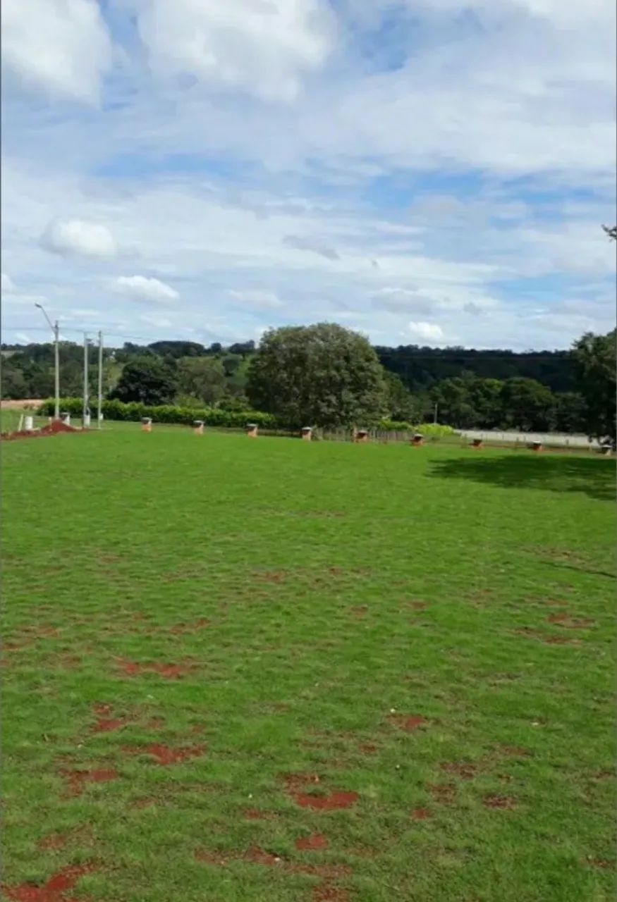 Gramas apartir de 6,99 ó m2 já plantado! - Foto 3