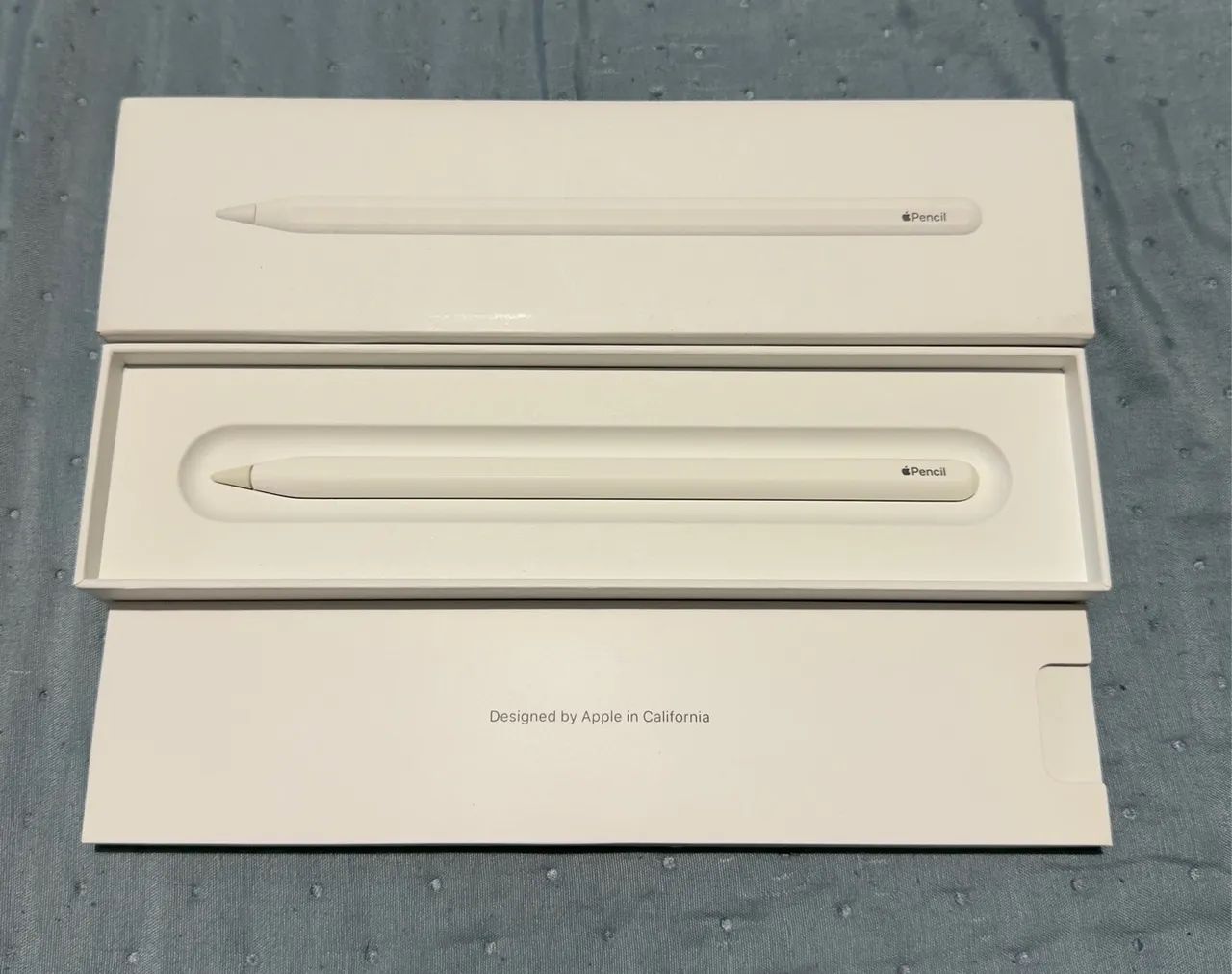 Apple Pencil 2ª Geração 