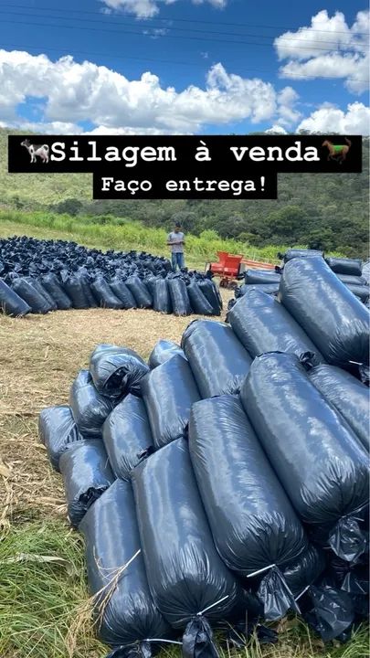 Silo ensacado a pronta entrega 