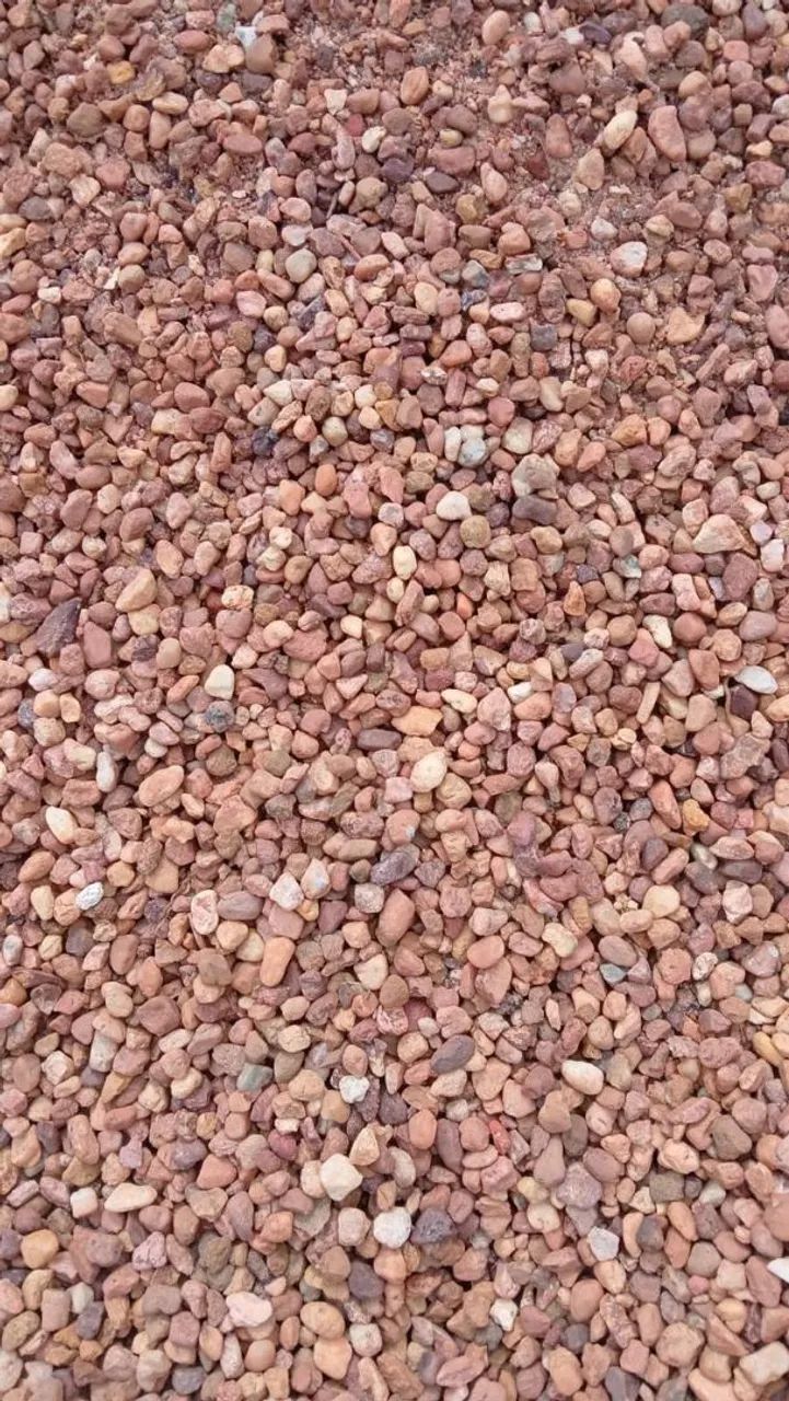 SEIXO COMUM 64220710518659122