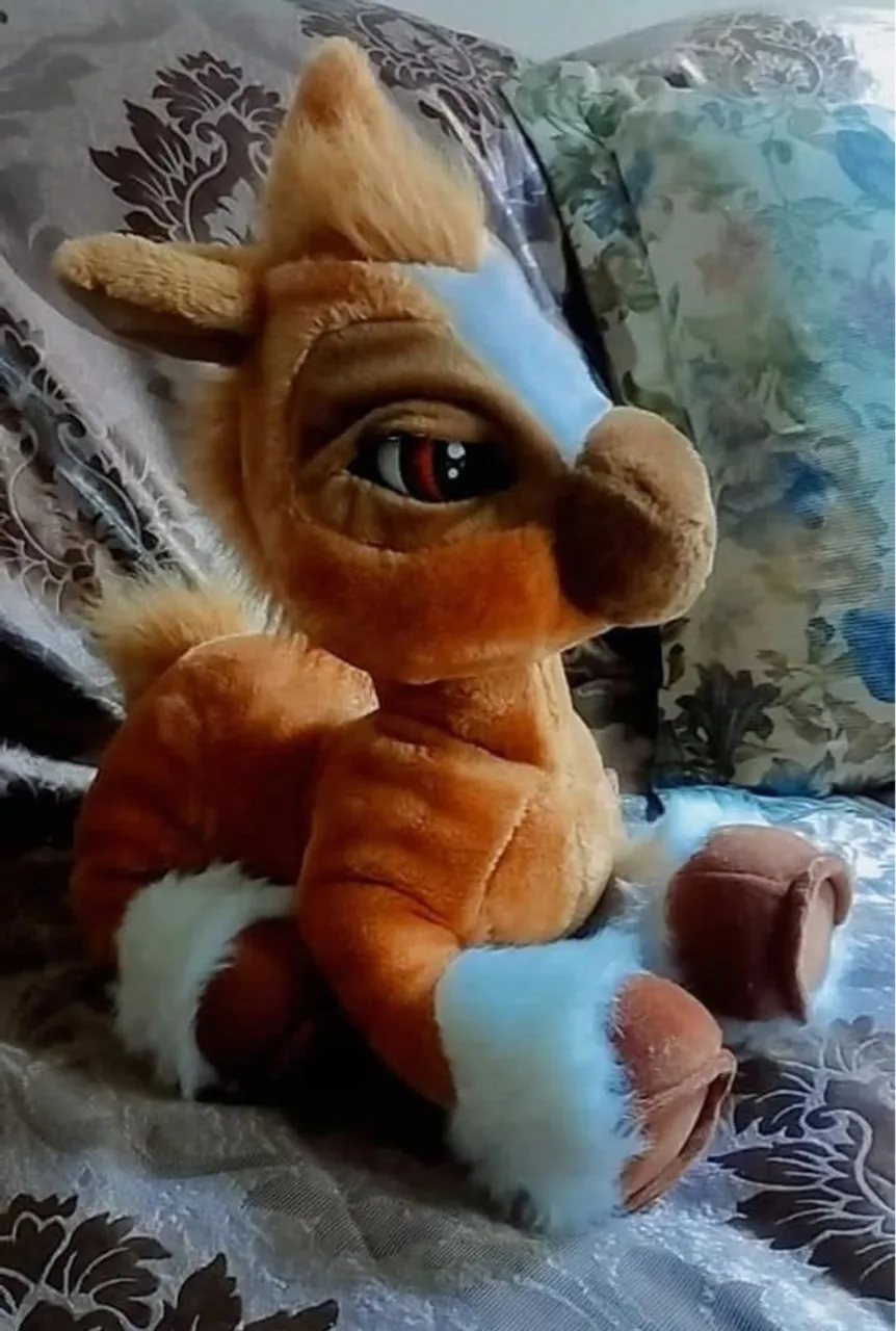 Urso cavalo imperativo
