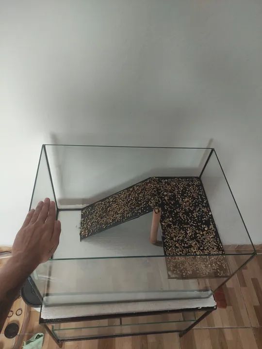 Aquário/ terrário - Foto 4