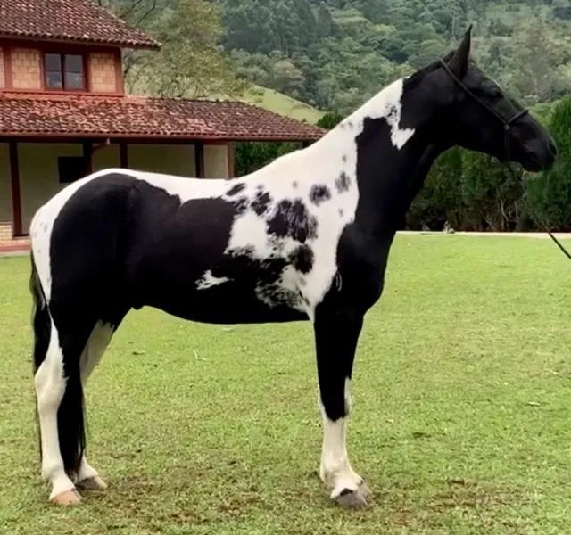 Super promoção de coberturas! Aproveite e garanta já a sua numa condição imperdível! - Foto 2