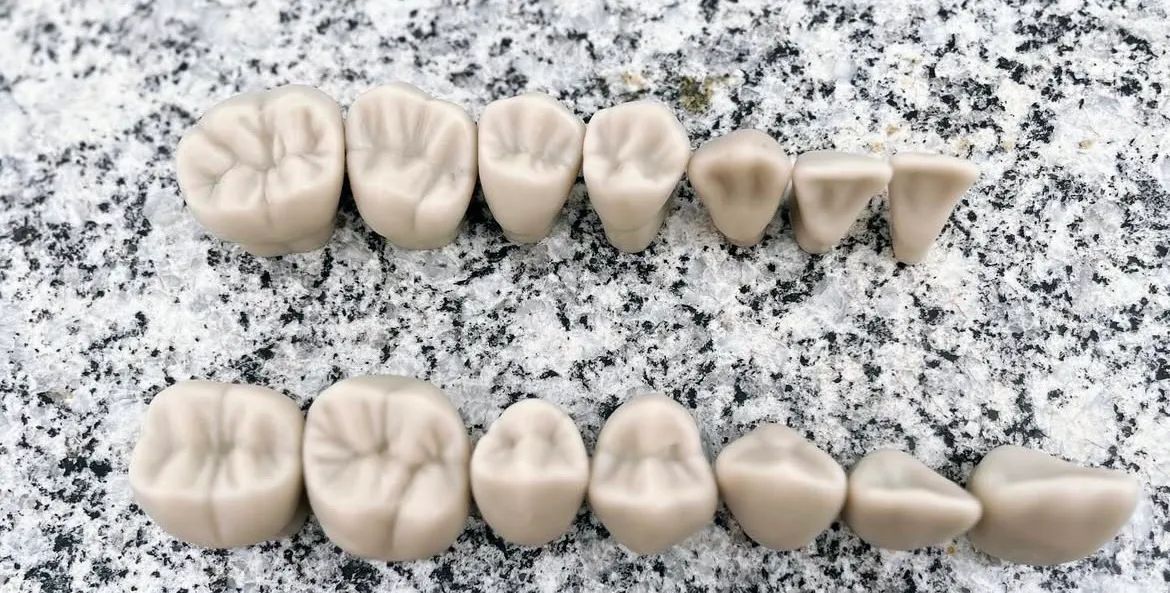 Macro modelo em resina (macro dente) - Foto 6