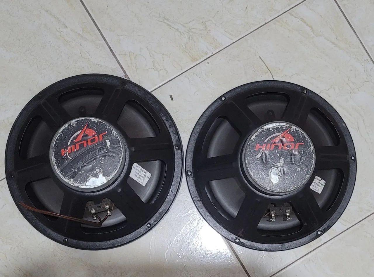 Grave 10 polegadas (dois por R$100) - Foto 2