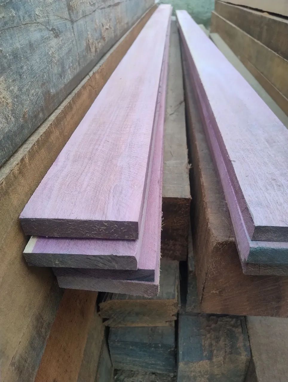 Madeiras de Roxão  - Foto 3