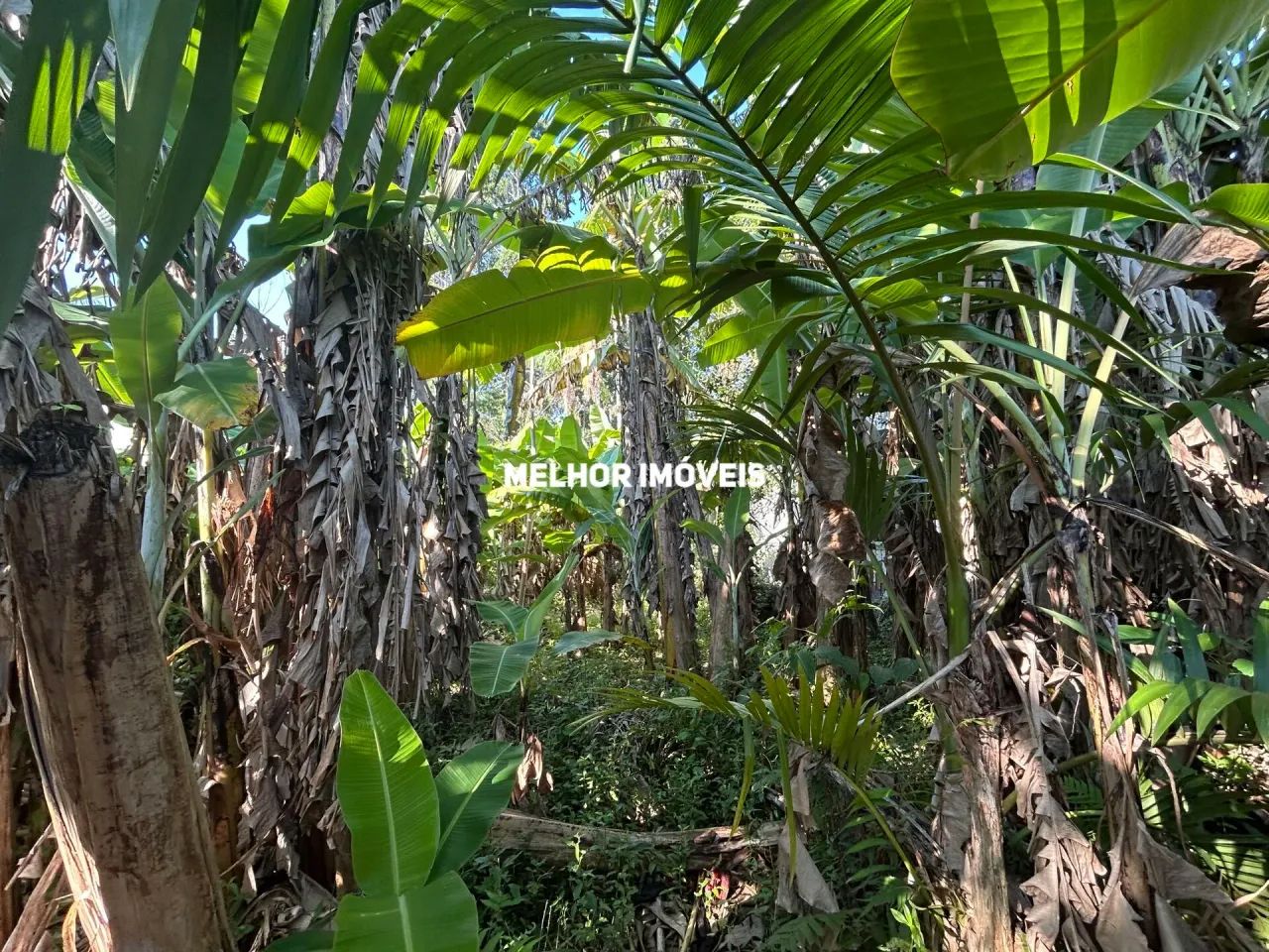 Terreno á venda na Interprais - Praia do Estaleirinho em Balneário Camboriú - Foto 2