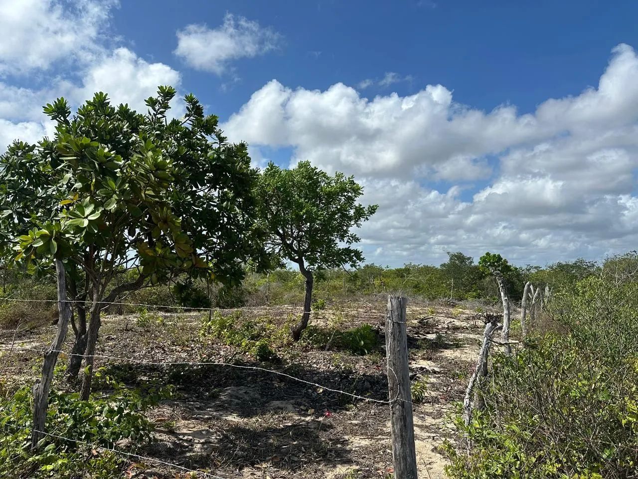 Terreno em barreirinha 
