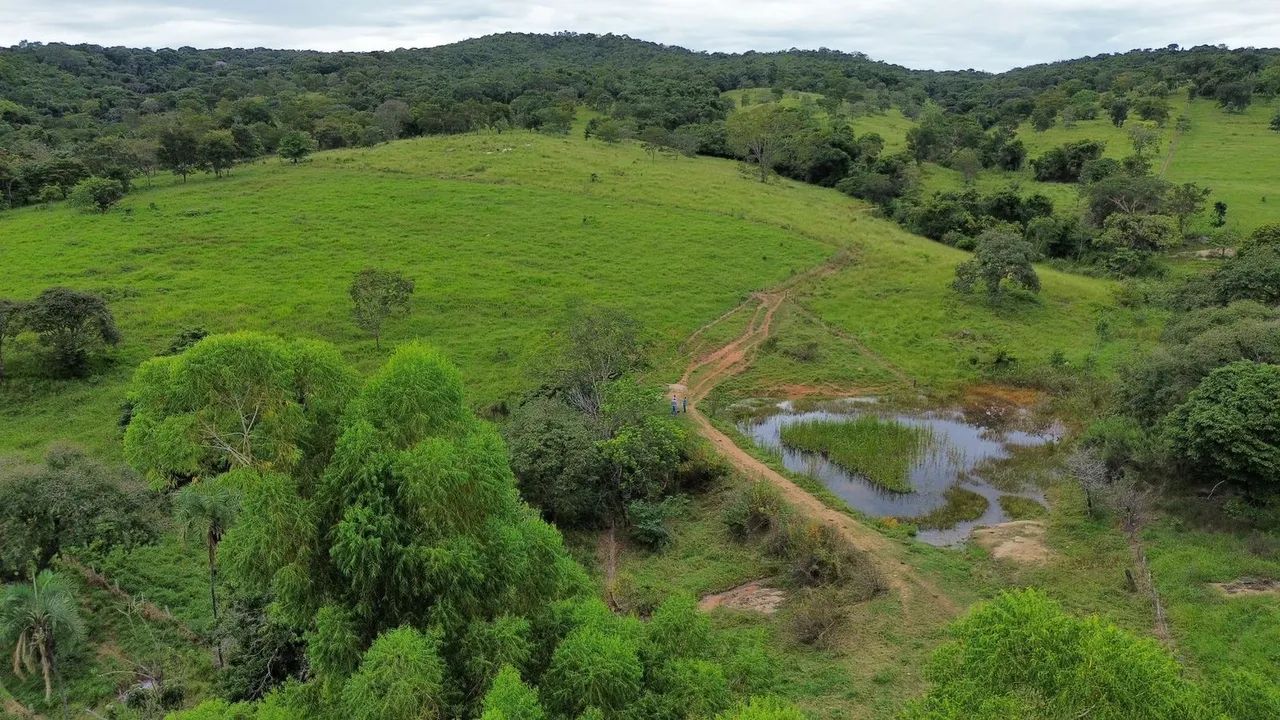 Fazenda em caldazinha  - Foto 4