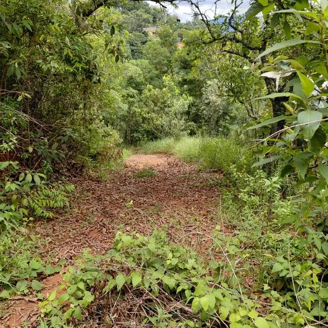 Foto - Jundiaí - Fazenda Grande