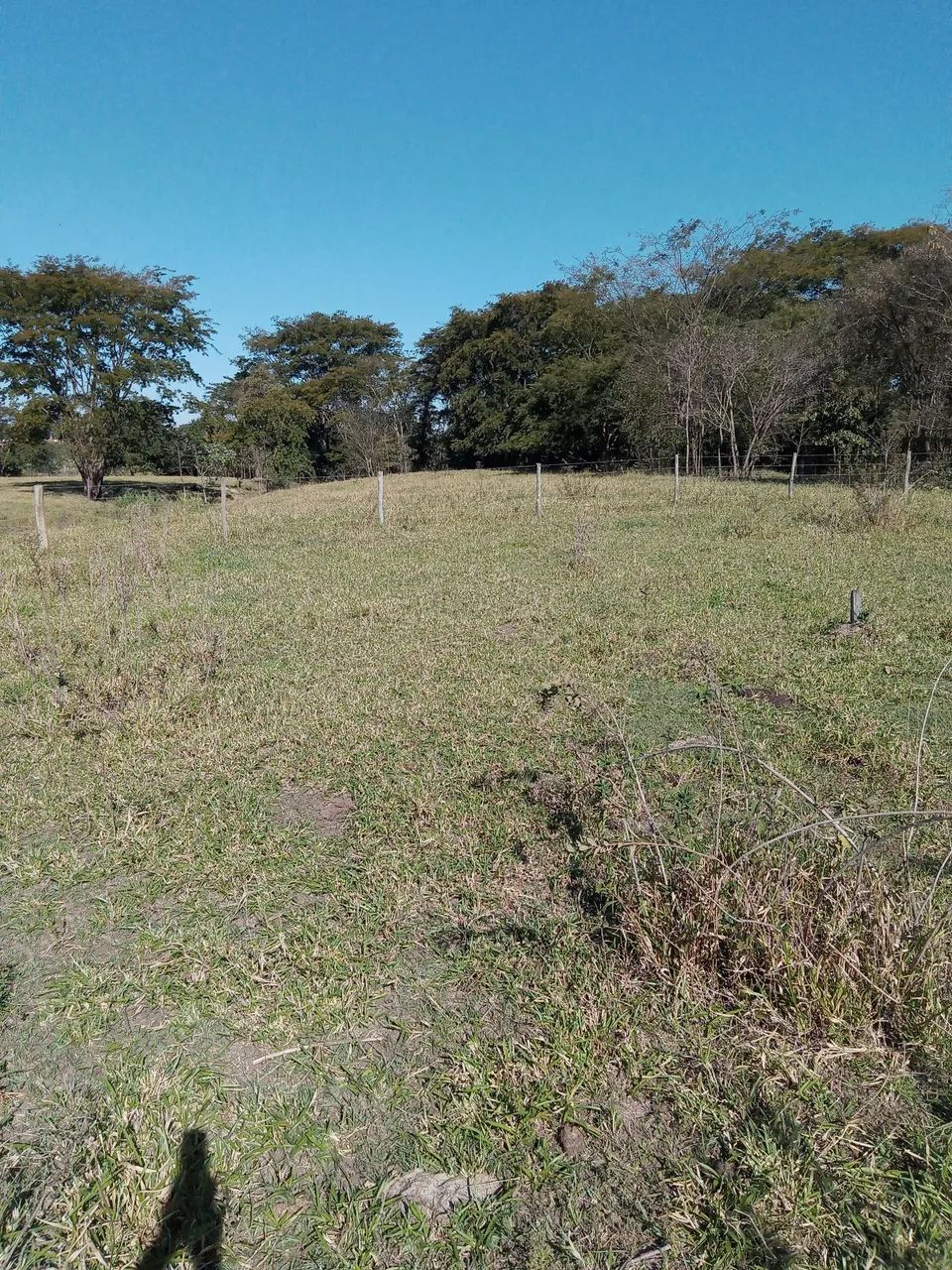 Sítio 2 hectares em Taquaritinga  - Foto 4