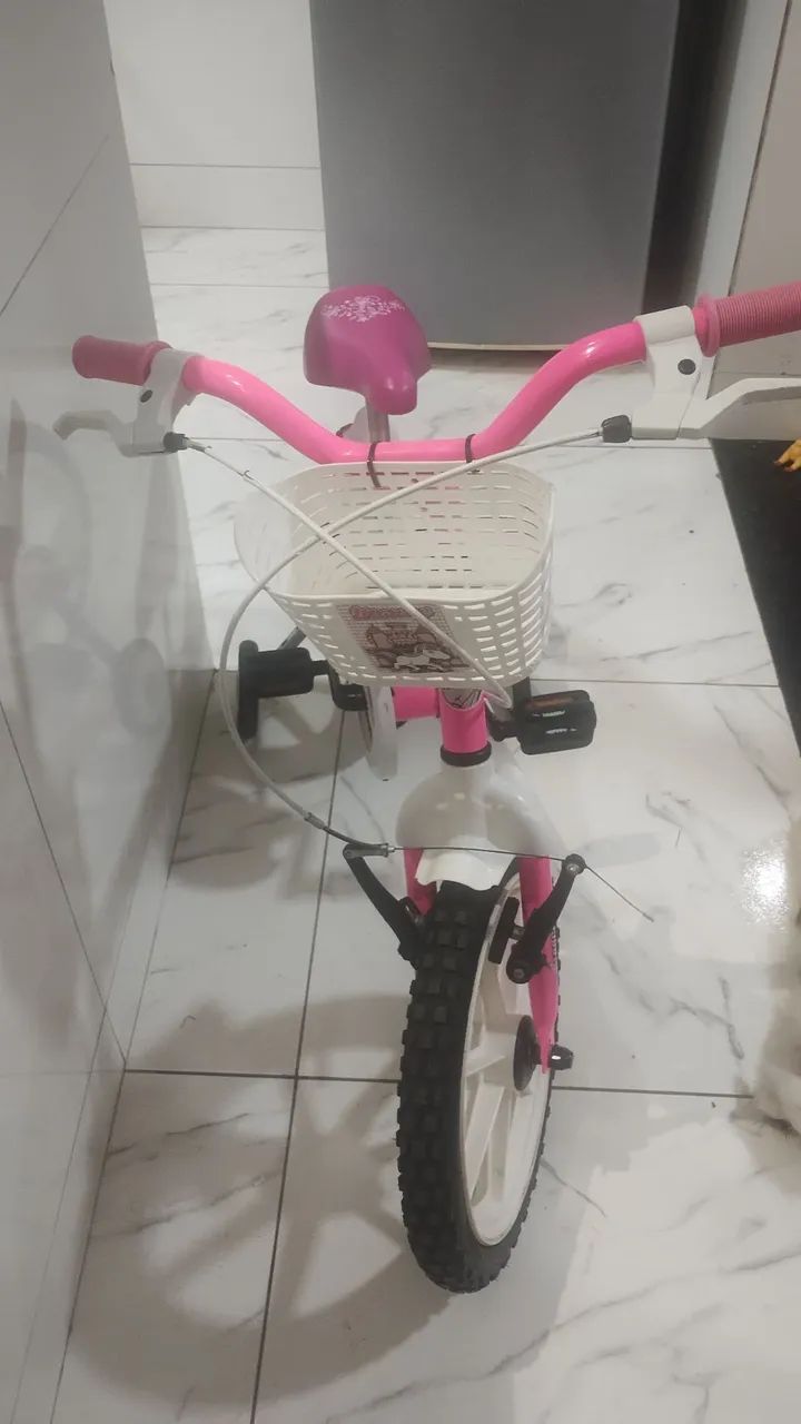 Bicicleta Rosa com cestinha, um mimo.
