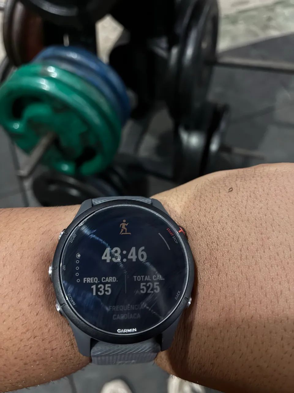 GARMIN 255