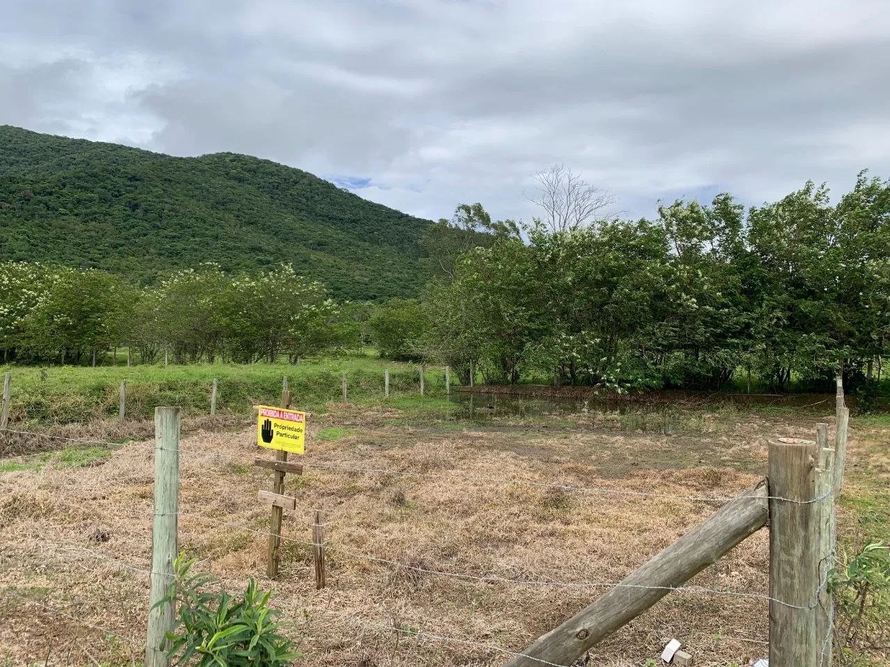 Ótimo terreno com 450m no Ribeirão da ilha - Foto 4