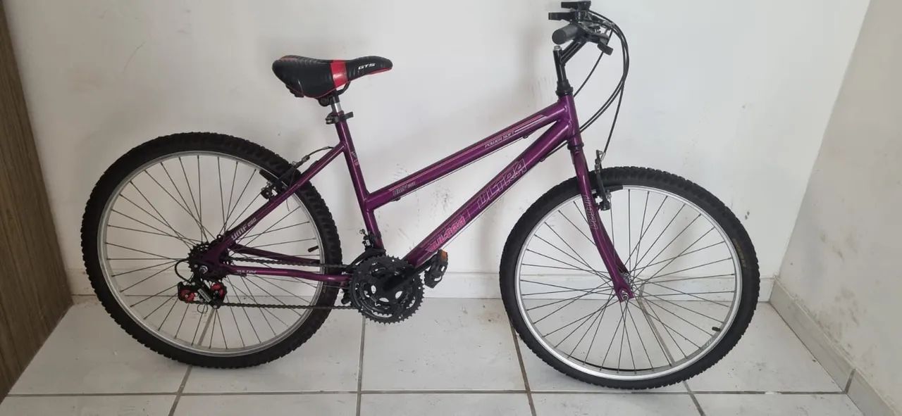 Bicicleta aro 26 18 Marchas  - Foto 2