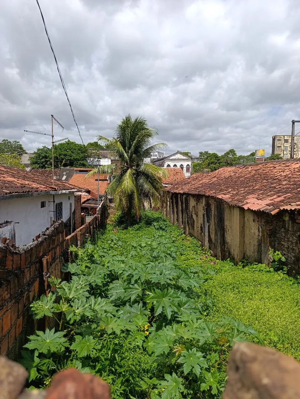 Casa com terreno de rua a rua - Rua da Areia - Foto 5