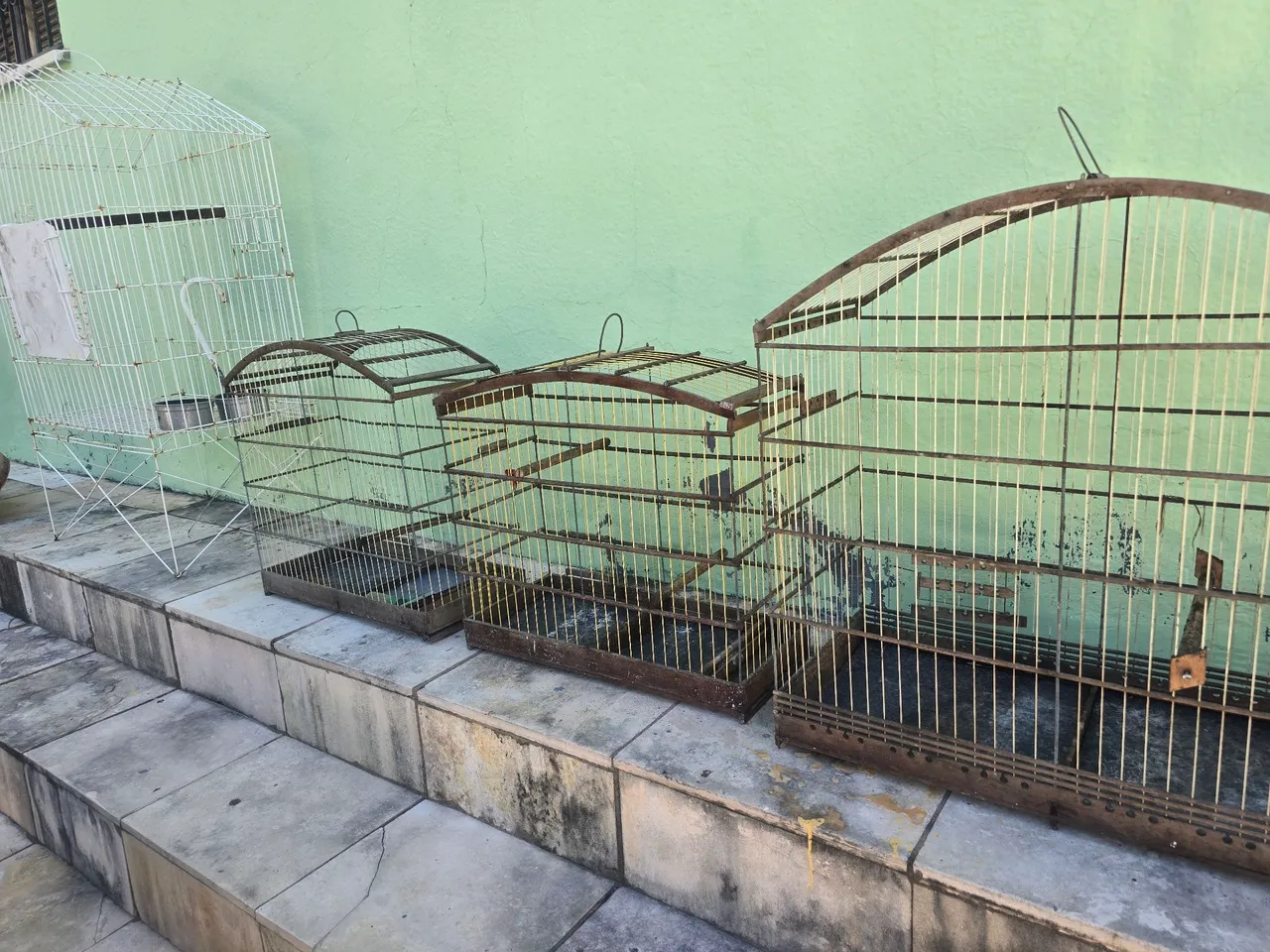 Gaiola pra porquinho da Índia - Roedores - Itaperi, Fortaleza