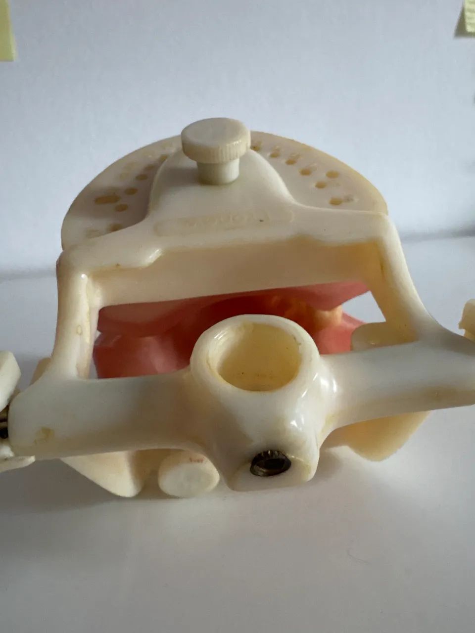 Manequim odontológico  - Foto 2