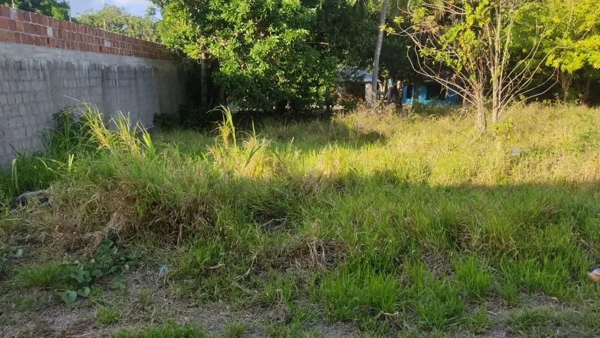 Terreno 200m² - Foto 4
