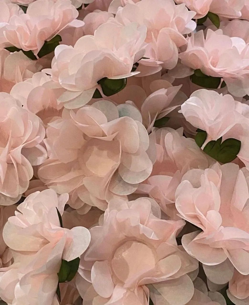 Forminhas para Doces - Foto 5