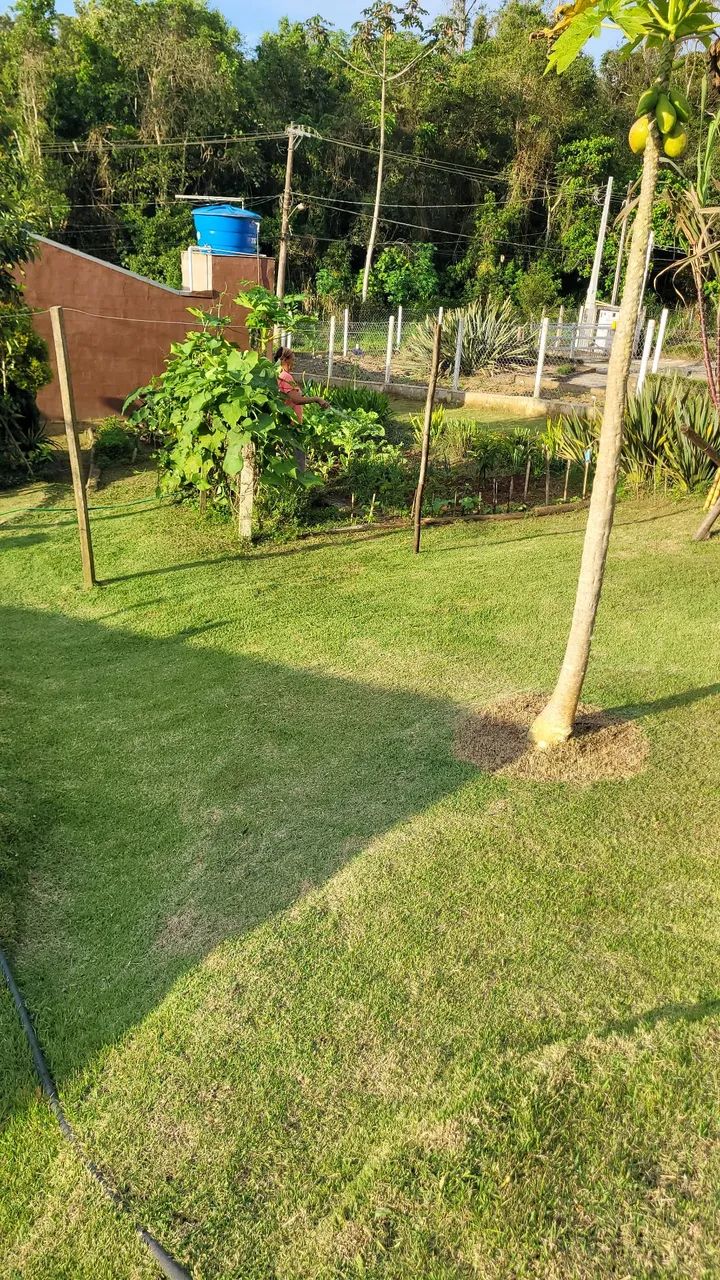 Jardinagem - Foto 4