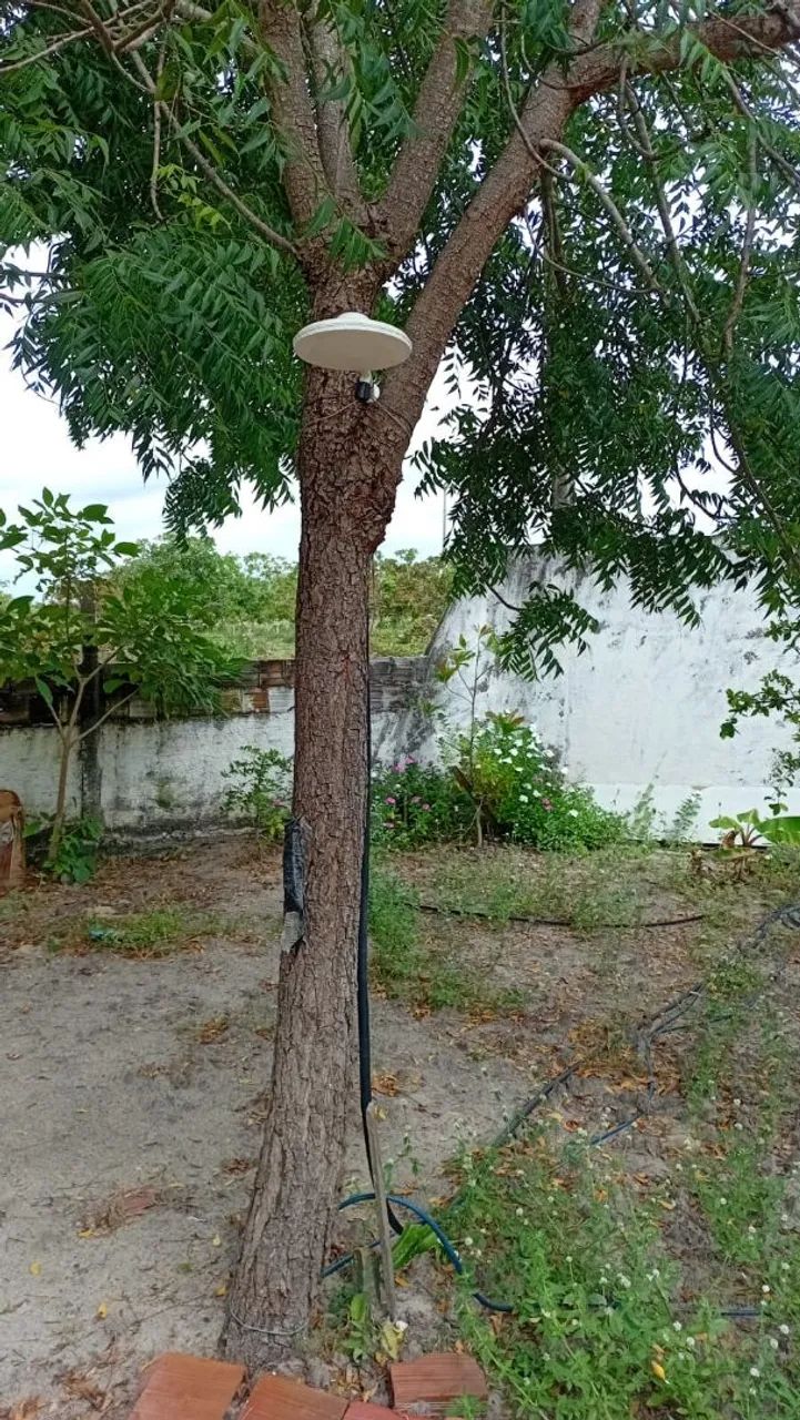 Vendo propriedade com 35 hectares  - Foto 4