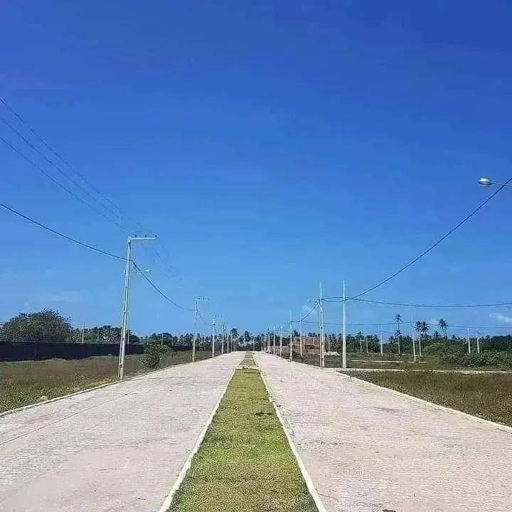 Terreno em Lucena, Pronto para Construir  - Foto 4
