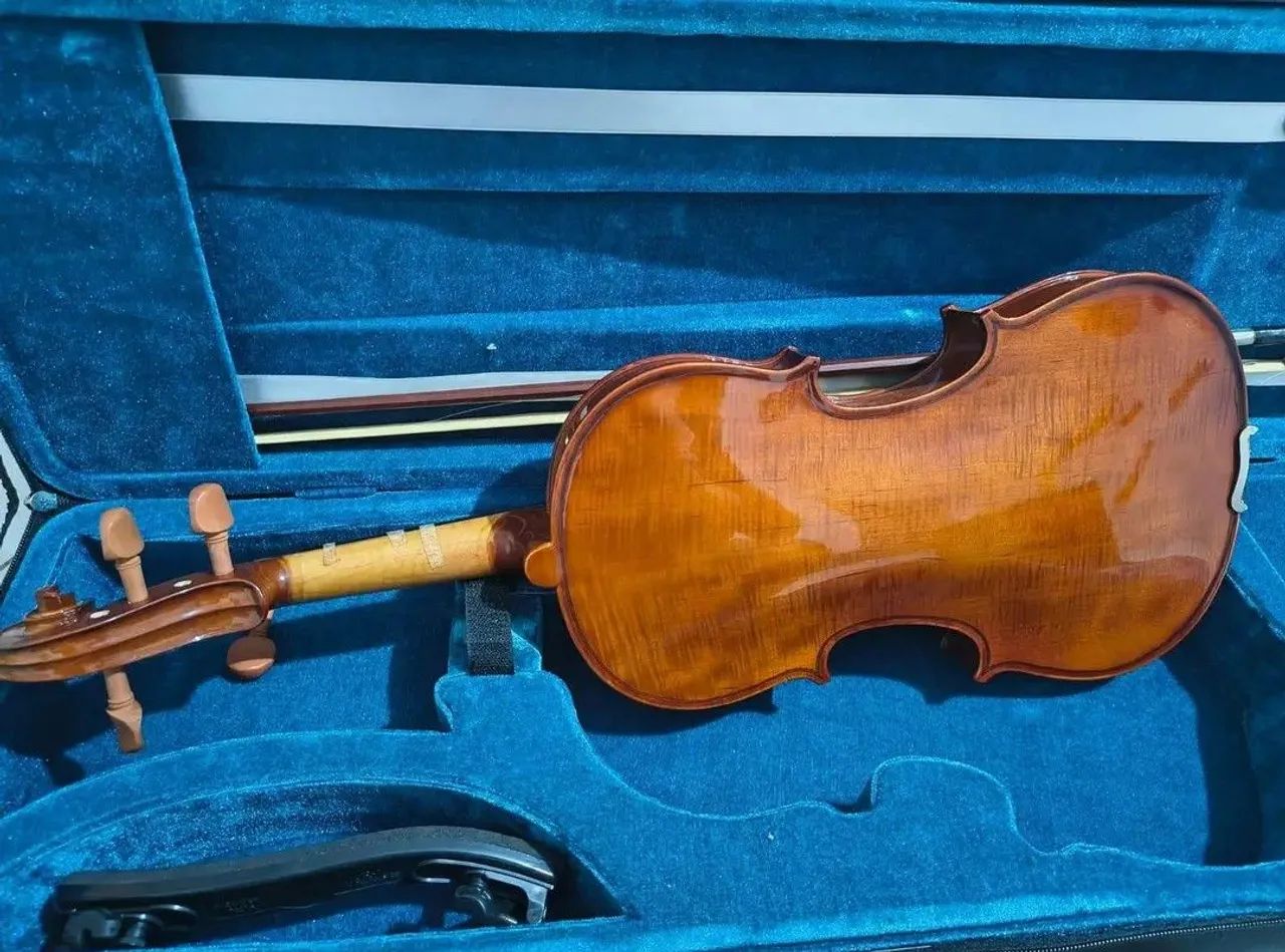 Violino
