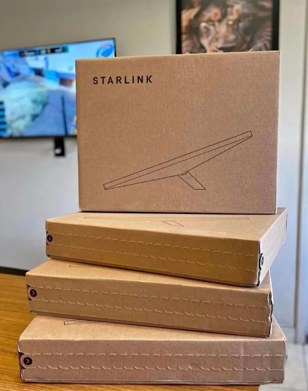 Starlink mini