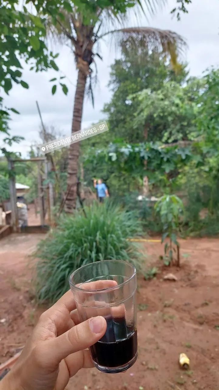 VENDE-SE CHÁCARA - Foto 4