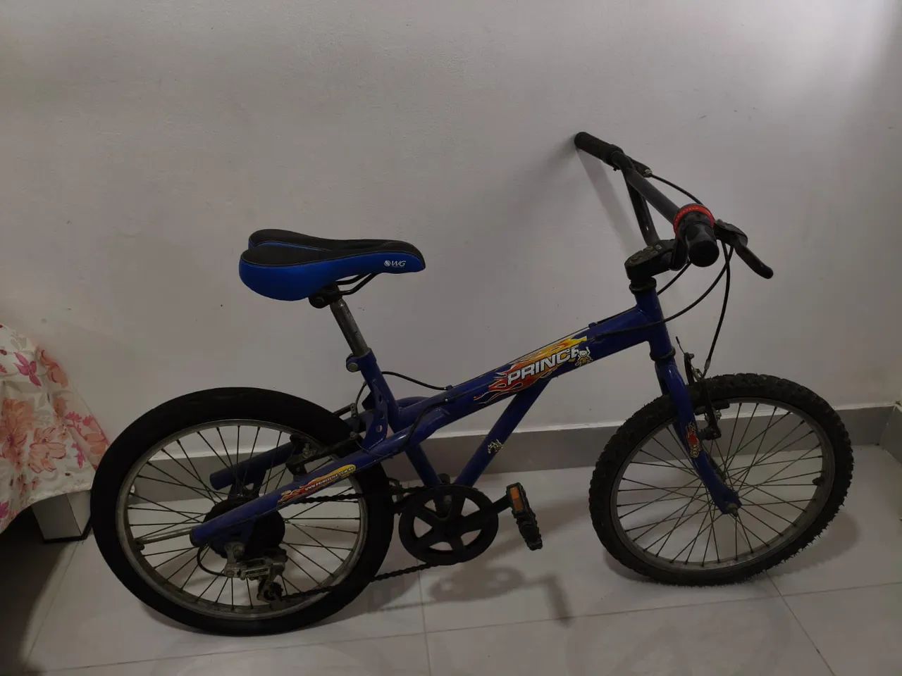 Bicicleta